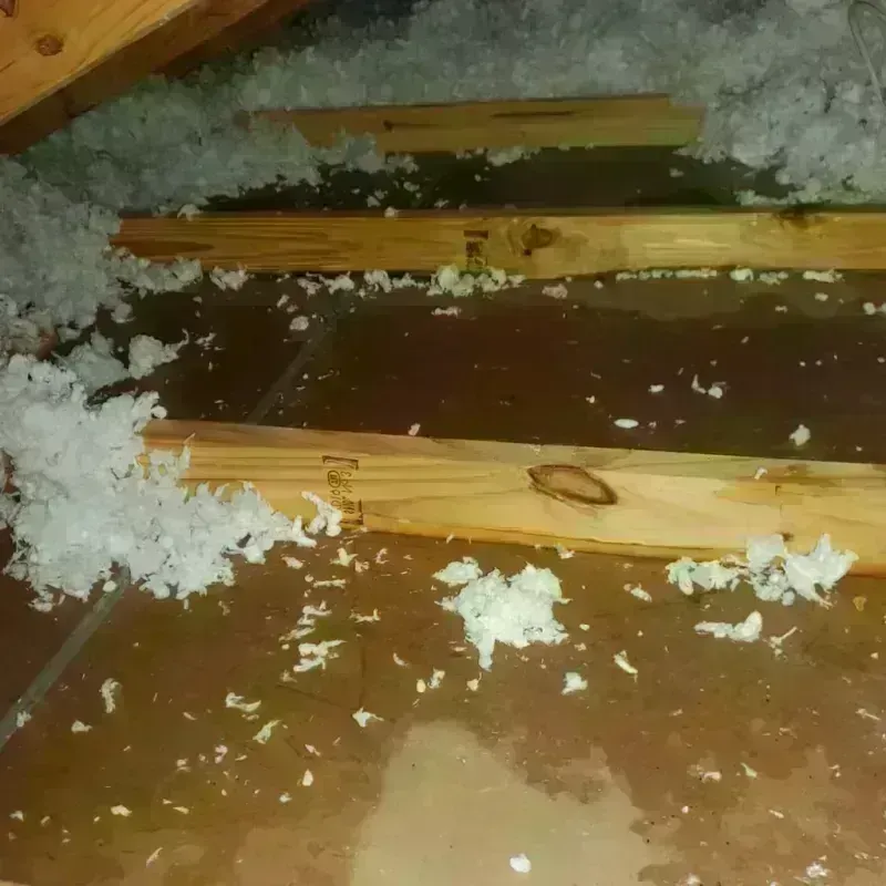 Attic Water Damage in Slaton, TX