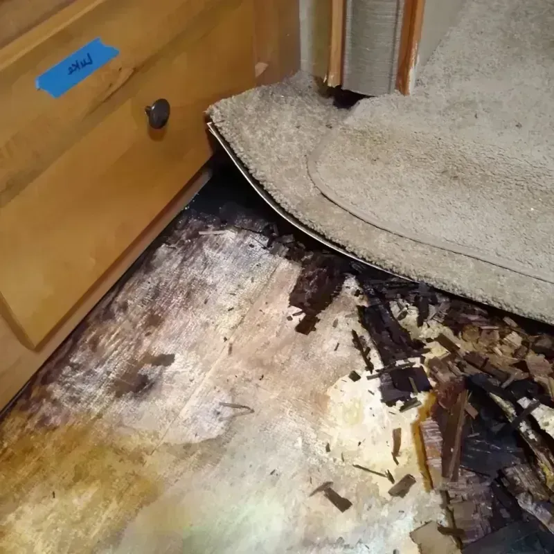 Best Wood Floor Water Damage Service in Slaton, TX